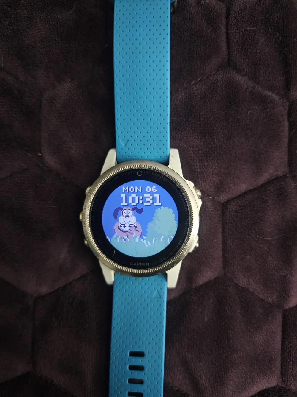 garmin Fenix 5S Silver Case with Light Gray Band - Sport GPS Smartwatch